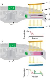 LUMiSizer - princip měření na analytické odstředivce